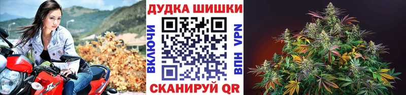Бошки марихуана OG Kush  Купить закладки  Приморско-Ахтарск 